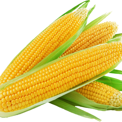 Sweet corn