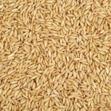 "From Field to Fork: The Journey of Hand-Pounded Rice"