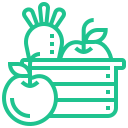 Fruits and Vegetables